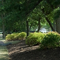 Scenery Montville Duchek 3899